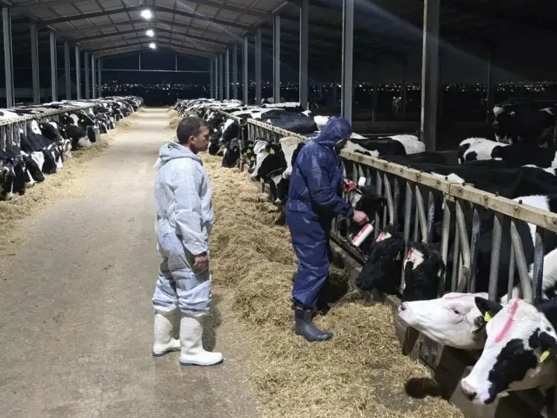 Αφθώδης πυρετός: Επιπτώσεις και μέτρα στο επίκεντρο συνάντησης ΚΟΑΠ - Στ. Μαλά