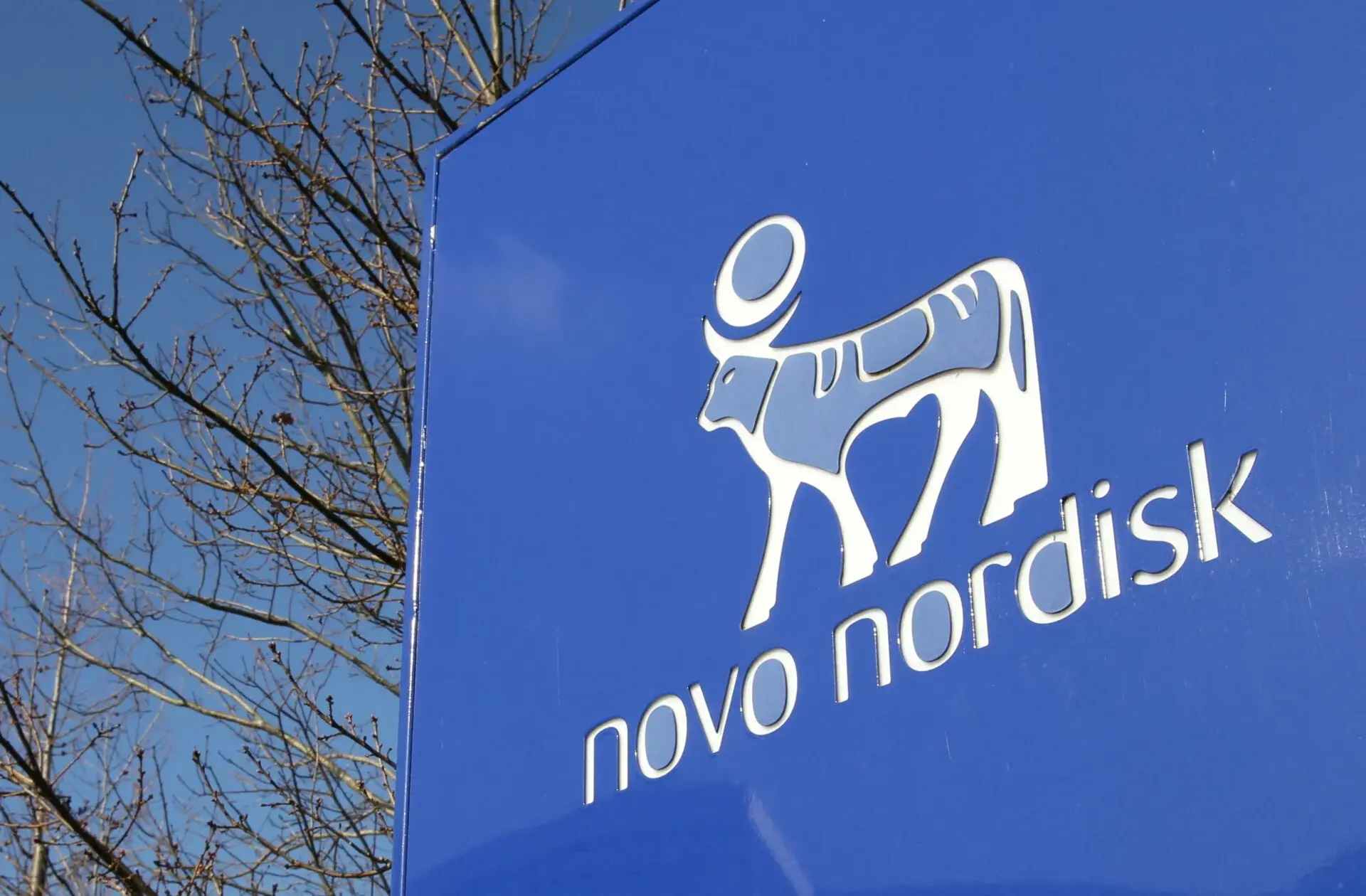 Novo Nordisk: Πτώση έως και 7% της μετοχής παρά τον φιλόδοξο στόχο για τις πωλήσεις σκευασμάτων κατά της παχυσαρκίας