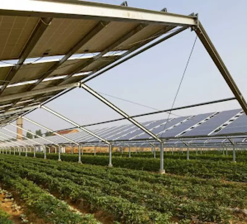 Δικαστήριο παγώνει φωτοβολταϊκό 3,7 MW στη Λευκωσία — Βλέπει κίνδυνο ανεπανόρθωτης περιβαλλοντικής ζημιάς
