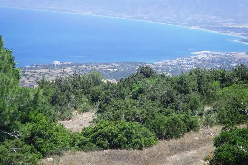 Ανοίγουν οι αιτήσεις για τα αντισταθμιστικά μέτρα στον Ακάμα - Έως €6.600 τον χρόνο για ιδιοκτήτες γης