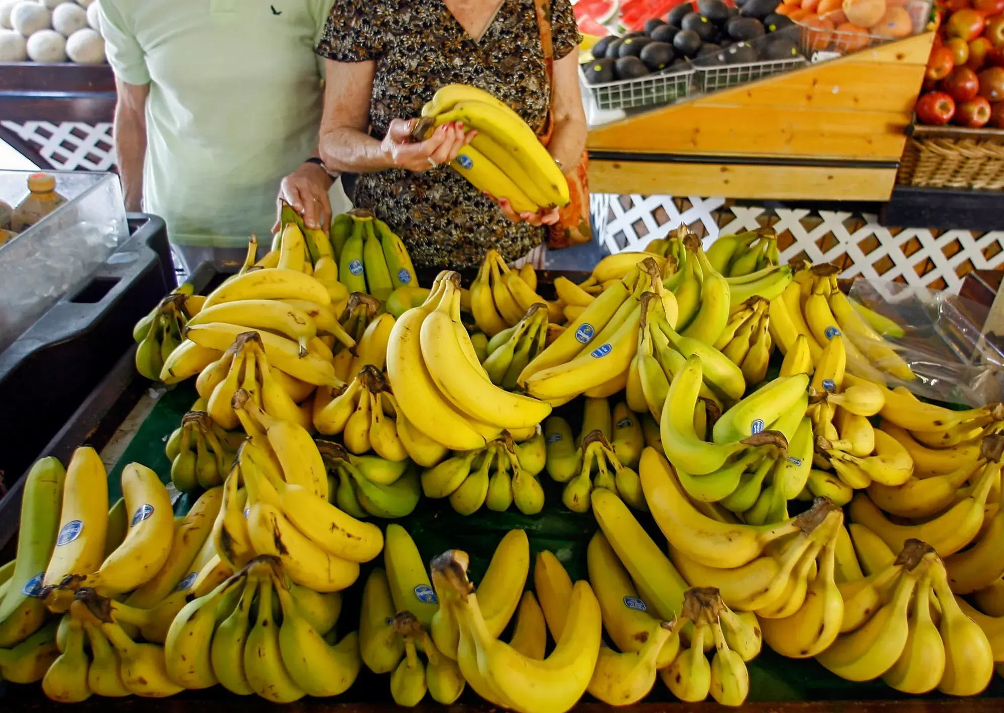 Chiquita: Έρχονται αυξήσεις στις τιμές της μπανάνας – Η απειλή του Ελ Νίνιο και το δύσκολο 2027