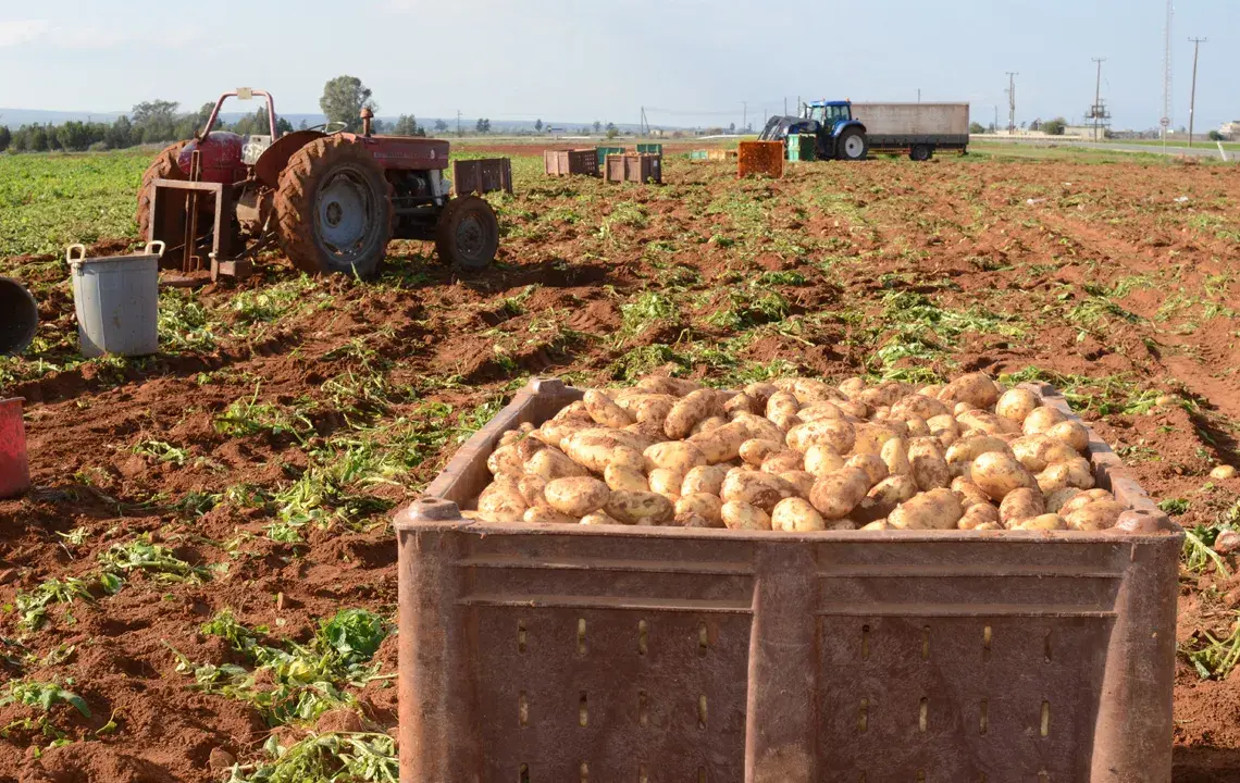 Τμ. Γεωργίας: Δέχεται αιτήσεις για ζημιές από ανεμοθύελλα σε Λάρνακα-Αμμόχωστο