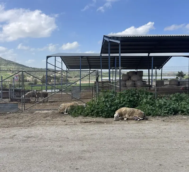 Ξεκίνησαν οι εμβολιασμοί – Αναμένονται σήμερα ακόμα 50 χιλ. δόσεις