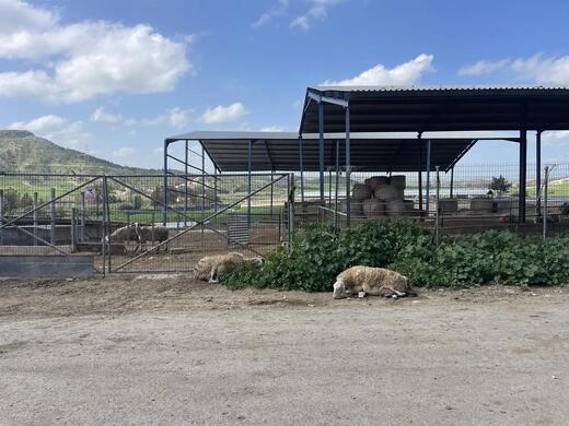 Ξεκίνησαν οι εμβολιασμοί – Αναμένονται σήμερα ακόμα 50 χιλ. δόσεις