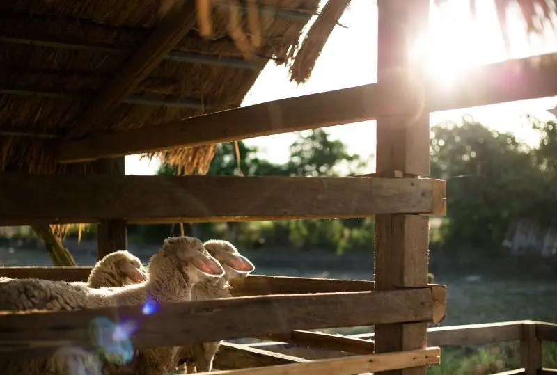 «Είμαστε ακόμη στην αρχή - Η καταπολέμηση του αφθώδους πυρετού ενδεχομένως να πάρει έξι μήνες»