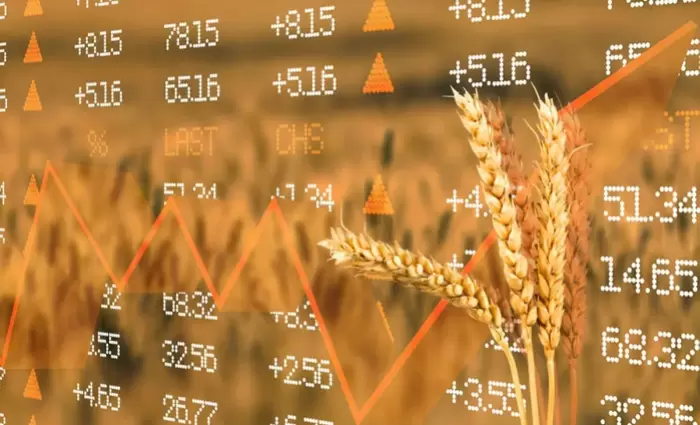 Το σιτάρι σε υψηλό τριετίας – Φόβοι για εκτόξευση των τιμών