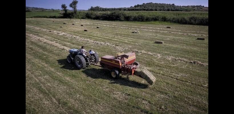 Μείωση ή και μηδενικό ΦΠΑ στο γεωργικό πετρέλαιο ζητά ο Παναγροτικός