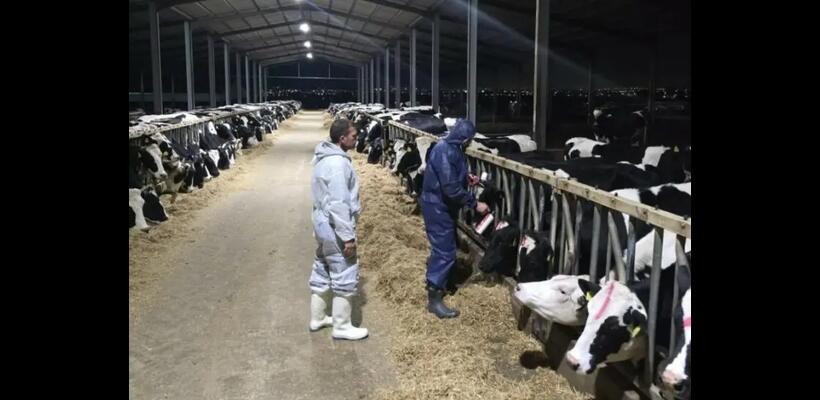 Ποιμνιοτρόφοι: Έντονη αβεβαιότητα στον κλάδο λόγω αφθώδους πυρετού