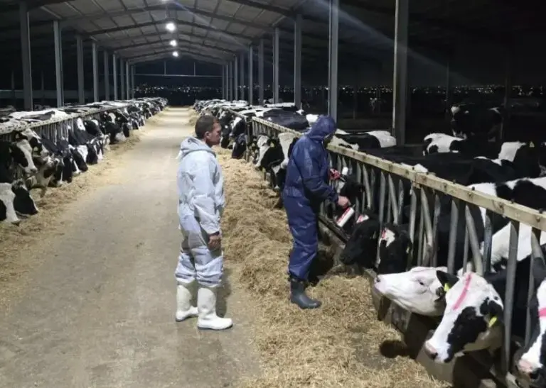 Ποιμνιοτρόφοι: Έντονη αβεβαιότητα στον κλάδο λόγω αφθώδους πυρετού