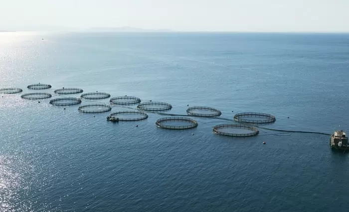 Στρατηγική για ανταγωνιστική υδατοκαλλιέργεια