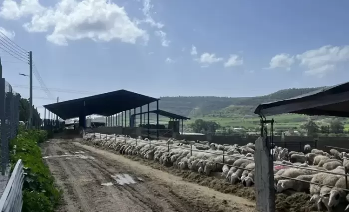 Συνάντηση Χριστοδουλίδη με αγροτικές οργανώσεις για τον αφθώδη πυρετό την Τρίτη