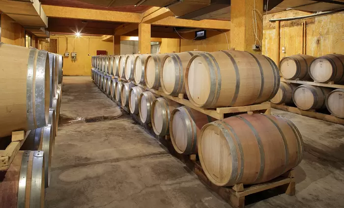 Προγράμματα οινοποιίας - τυροκομίας, από Σεπτέμβριο στο Όμοδος