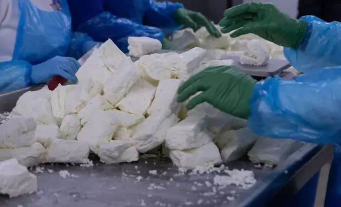 Επιστολή Συνδέσμου Τυροκόμων στα Αρμόδια Υπουργεία για λήψη άμεσων και προληπτικών μέτρων για τον αφθώδη πυρετό