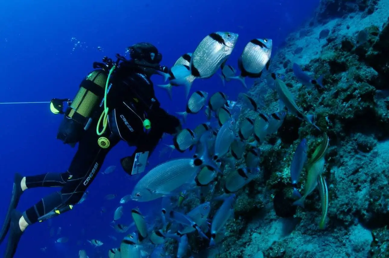 Προωθείται ο καταδυτικός τουρισμός (βίντεο)