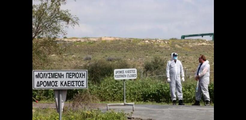 Αφθώδης: Δεν υπάρχουν εναλλακτικά ευρωπαϊκα πρωτόκολλα - Κτηνοτρόφοι προειδοποιούν με δυναμικές κινητοποιήσεις