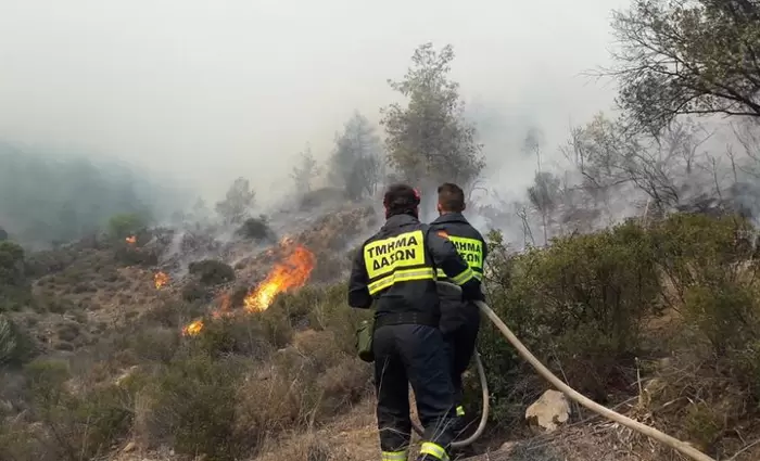 Άνοιξαν θέσεις στο Τμήμα Δασών - Μισθοί έως €53.637 το χρόνο