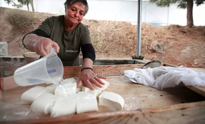 Spiegel: Η Κύπρος απέρριψε την CETA για το χαλλούμι