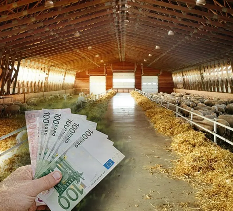 Α. Γρηγορίου: Σε εξέλιξη οι αποζημιώσεις για τον αφθώδη πυρετό