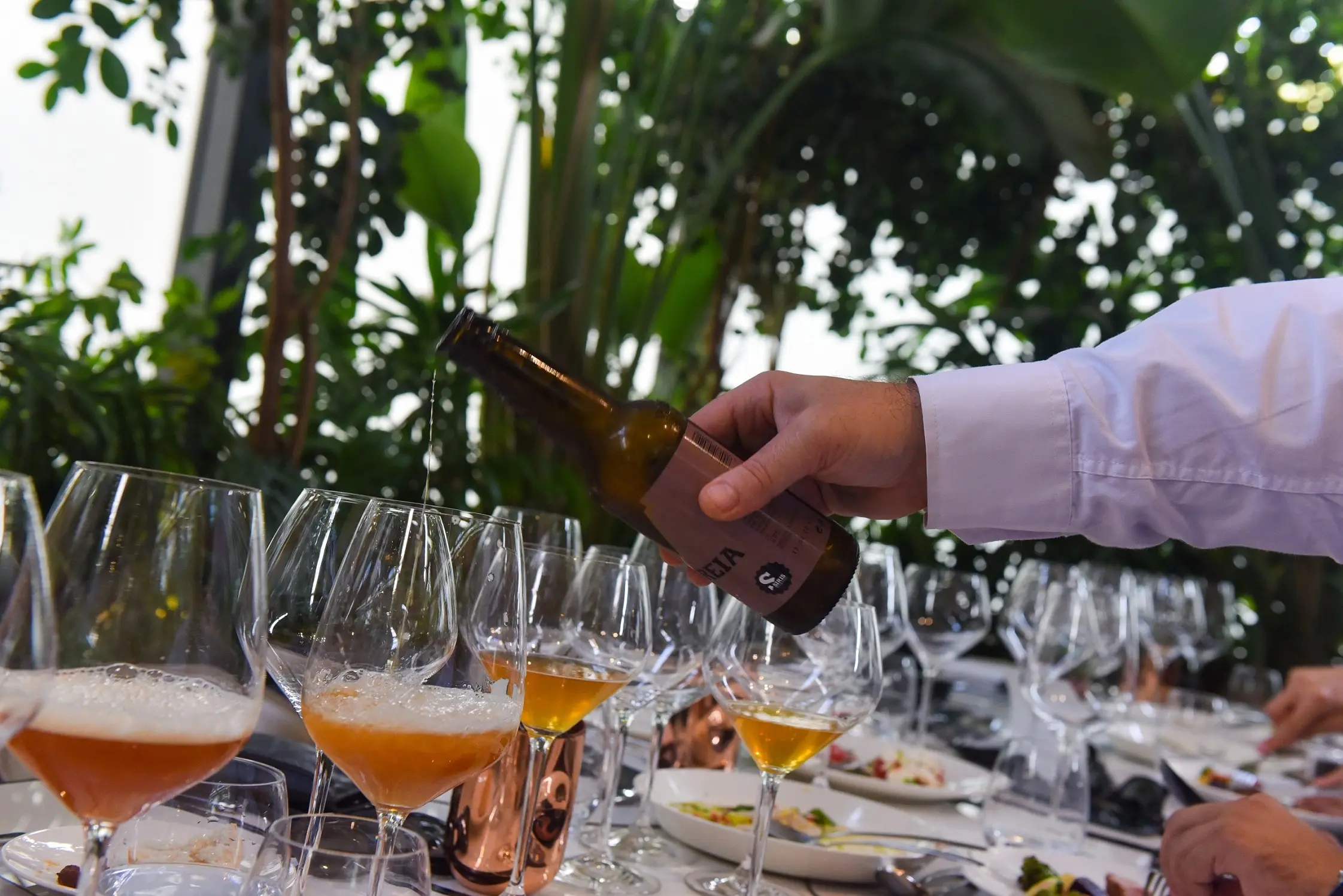 Μπίρα Voreia: Εκεί όπου η μπύρα συναντά την υψηλή γαστρονομία