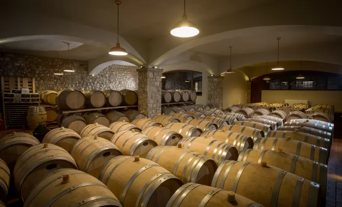 Ελεγκτική Υπηρεσία: 