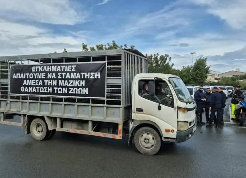 Επ’ αόριστον στη Ριζοελιά οι κτηνοτρόφοι - Καταγγέλλουν στοχοποίηση για τα εξώδικα