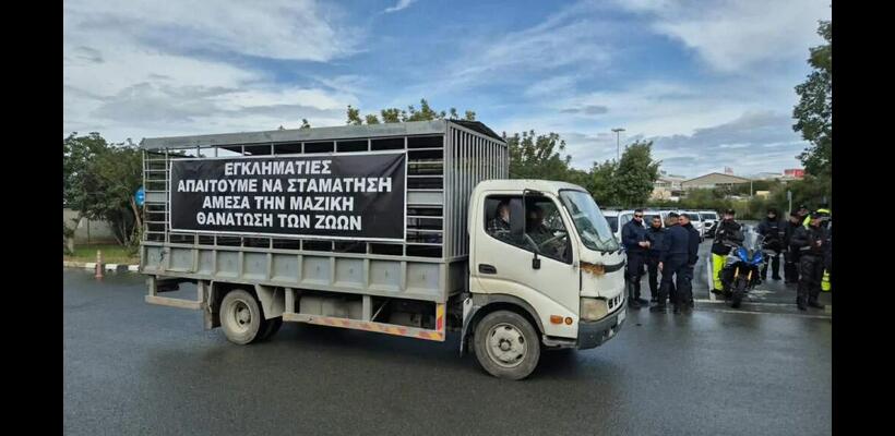 Επ’ αόριστον στη Ριζοελιά οι κτηνοτρόφοι - Καταγγέλλουν στοχοποίηση για τα εξώδικα