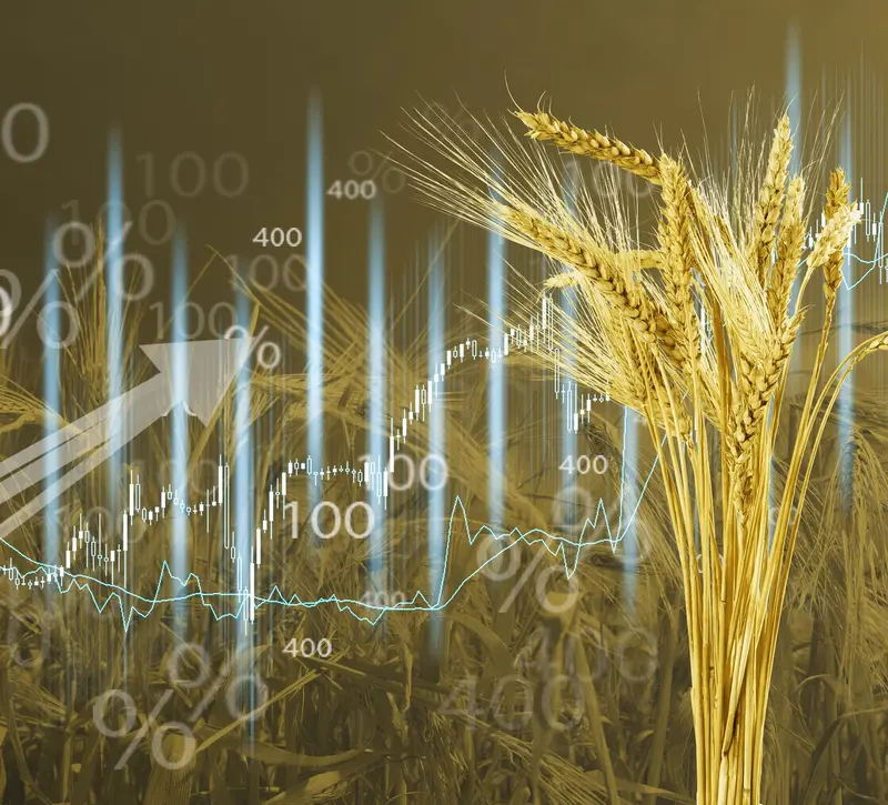 Σιτάρι: Άνοδος στα futures λόγω αβεβαιότητας για την εκεχειρία στη Μέση Ανατολή