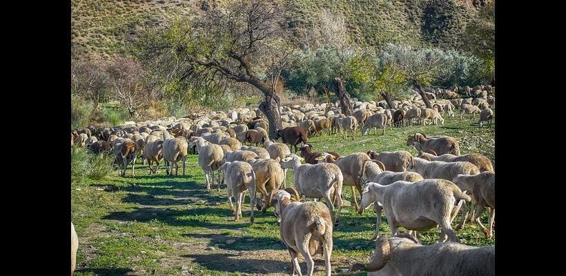 Επικοινωνία Χριστοδουλίδης με Φον ντερ Λάιεν για τον αφθώδη πυρετό