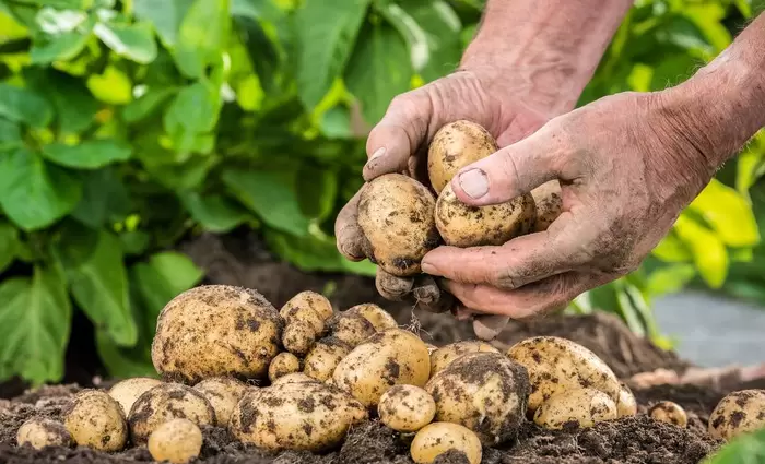 ΥΠΕΣ: Η Κυβέρνηση ενθαρρύνει πρωτοβουλίες για προώθηση κυπριακής γαστρονομίας