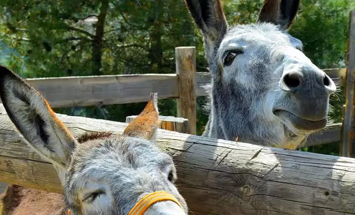 Επενδύστε στον αγροτουρισμό και διεκδικήστε μέχρι €200 χιλιάδες
