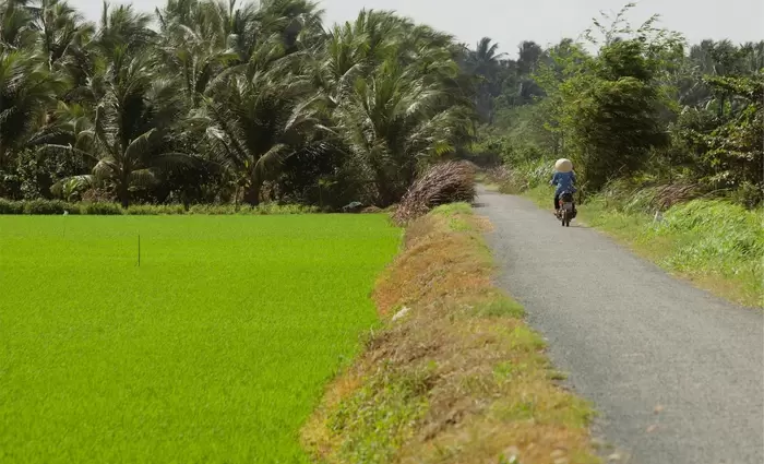 Βιετνάμ: Χιλιάδες εκτοπισμένοι για το γκολφ κλαμπ της οικογένειας Τραμπ αξίας $1,5 δισ.