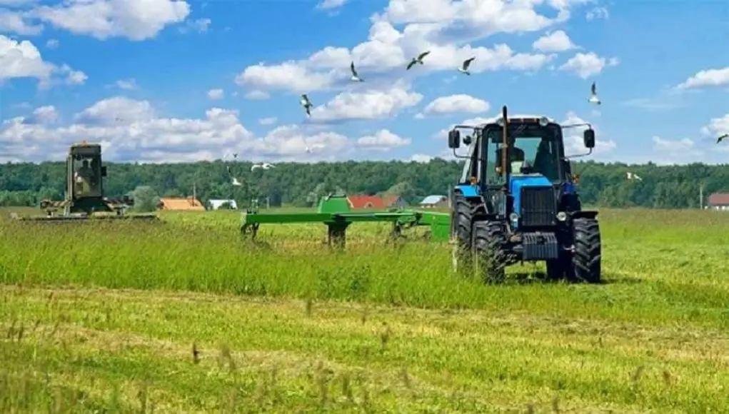 Τόσα ανήλθε η συνολική γεωργική παραγωγή στην Κύπρο