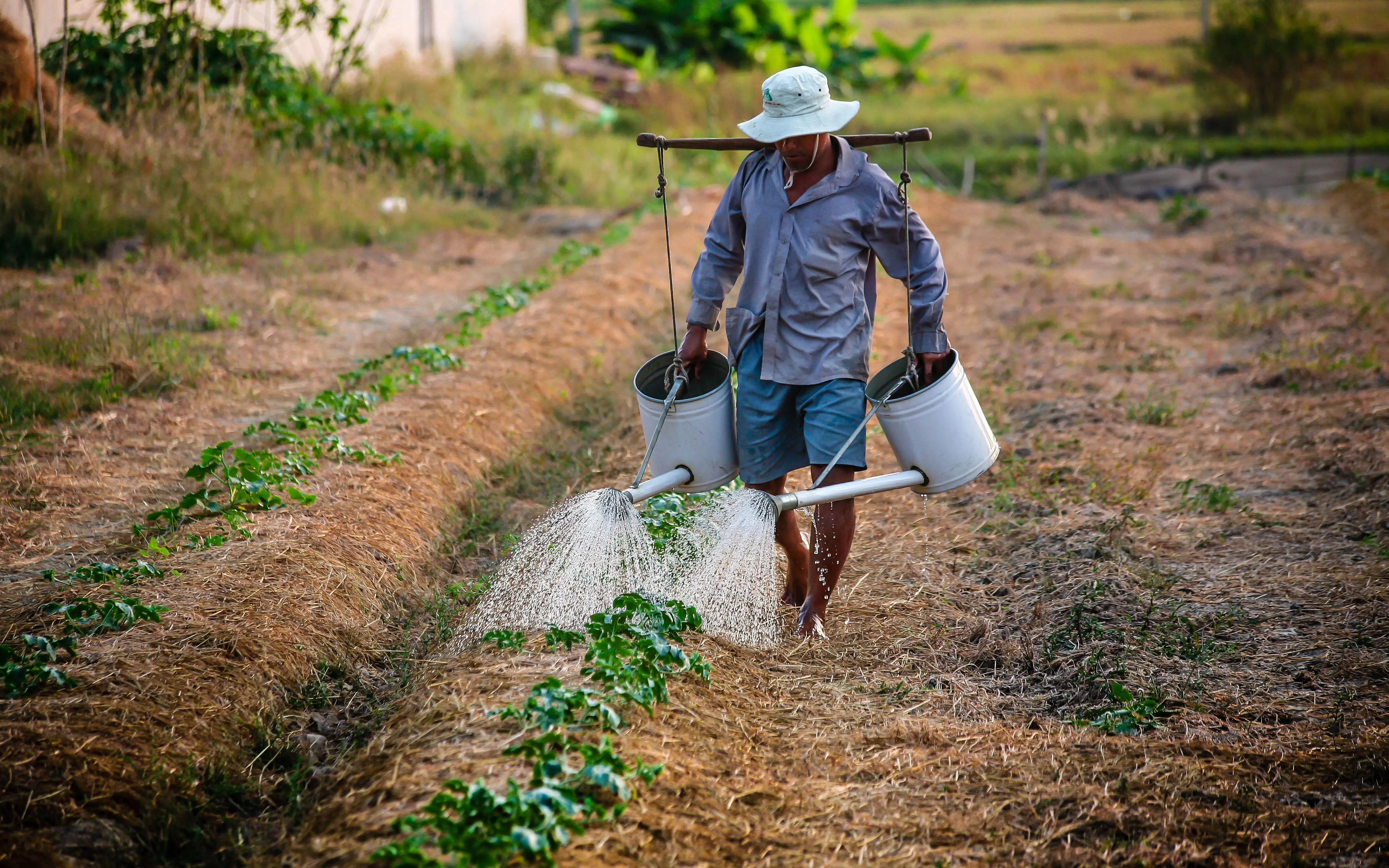Η άνθιση της αγροτικής οικονομίας στόχος του ΚΟΑΠ