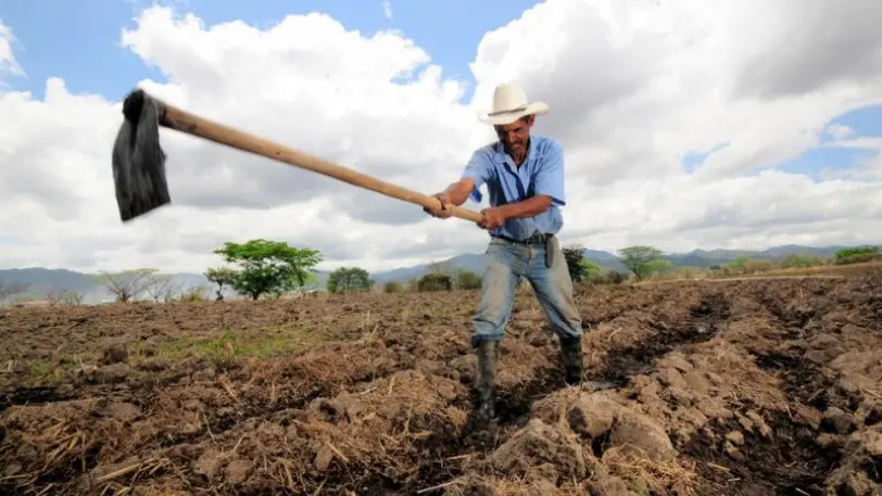 ΕΕ: Ετοιμάζουν πακέτο στήριξης 5,000 ευρώ ανά αγρότη