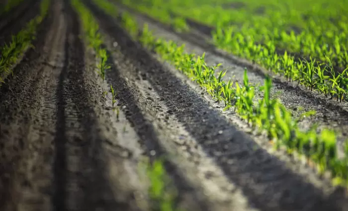 Υπ. Γεωργίας: Θα στηρίξει τον αγροτικό κόσμο έναντι των Αθέμιτων Εμπορικών Πρακτικών 