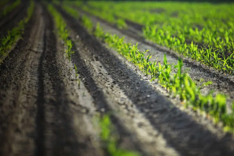 Υπ. Γεωργίας: Θα στηρίξει τον αγροτικό κόσμο έναντι των Αθέμιτων Εμπορικών Πρακτικών 