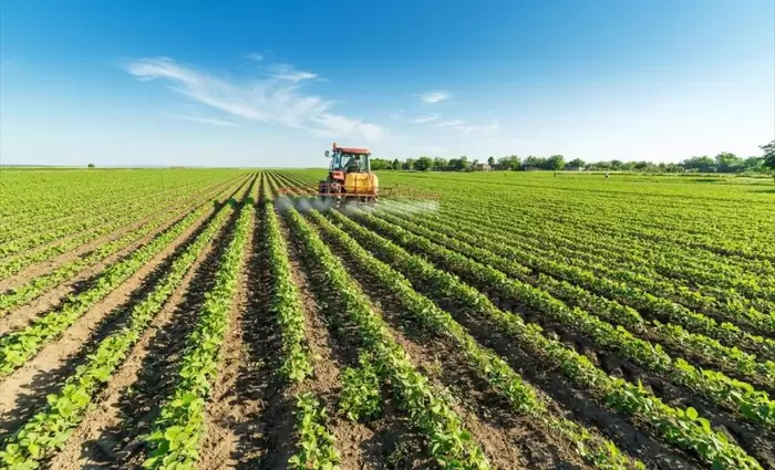 €439.068,60 δόθηκαν από τον ΚΟΑΠ στους αμπελοκαλλιεργητές