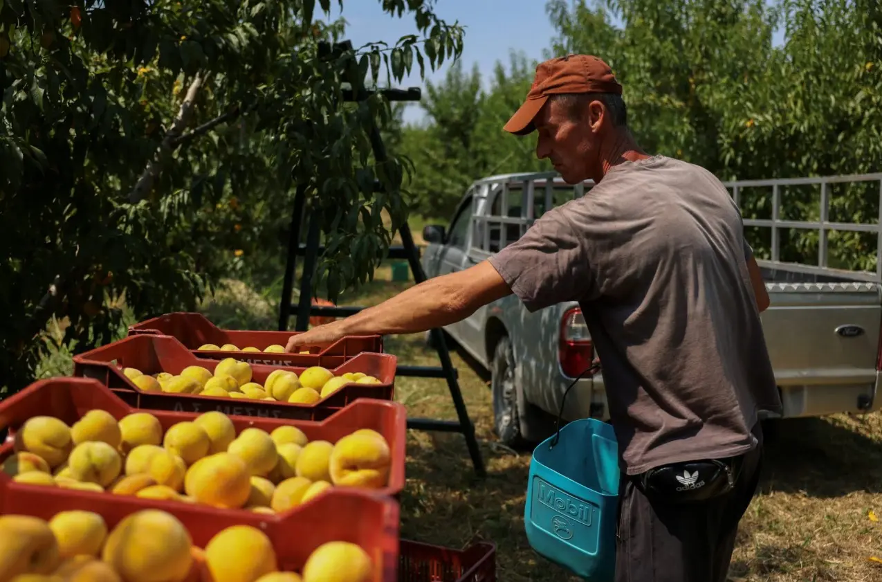Γιατί η αντι-αγροτική πολιτική της Κομισιόν θα αυξήσει τις τιμές των τροφίμων