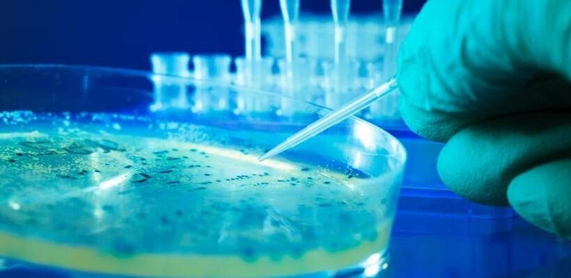 Επιστήμονες δημιούργησαν τους πρώτους ιούς που σχεδιάστηκαν από AI