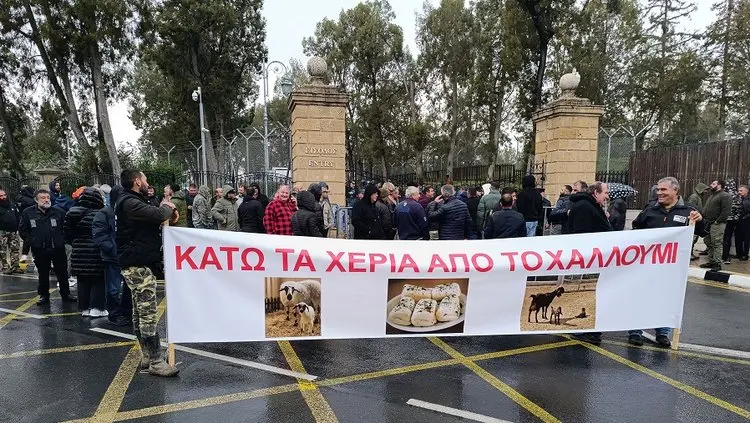 Αιγοπροβατοτρόφοι ζητούν οδικό χάρτη για το χαλλούμι, προειδοποιούν με κινητοποιήσεις