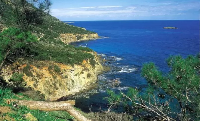 Μεγάλη καθυστέρηση του Εθνικού Δασικού Πάρκου Ακάμα καταγγέλει ο Δήμαρχος