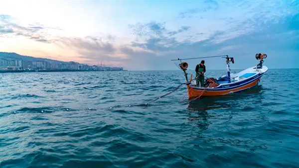 Τμήμα Αλιείας: Σχέδιο δράσης για υλοποίηση συστάσεων Ελεγκτικής