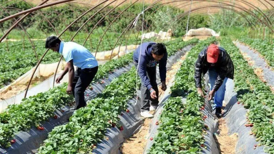 Αλλοδαποί εργαζόμενοι: Οι βίζες, οι μίζες και τα κυκλώματα