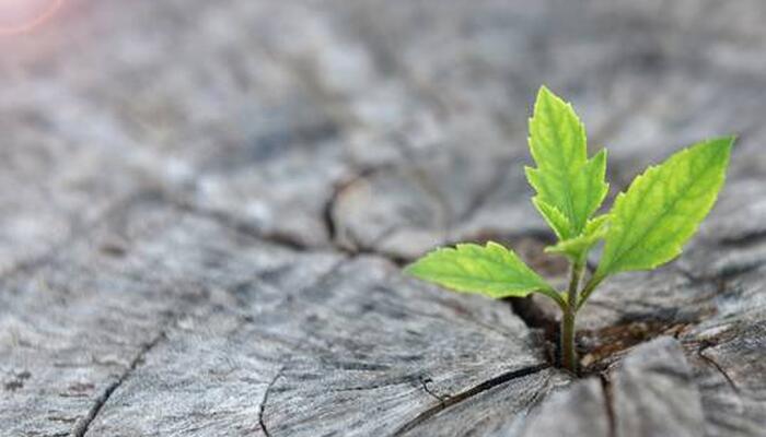 KPMG: «Ηγέτης» στις συμβουλευτικές υπηρεσίες Εξυπηρέτησης Πελατών