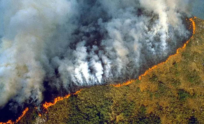 Η κλιματική αλλαγή έφερε τα πάνω κάτω στον μεγαλύτερο πνεύμονα του πλανήτη