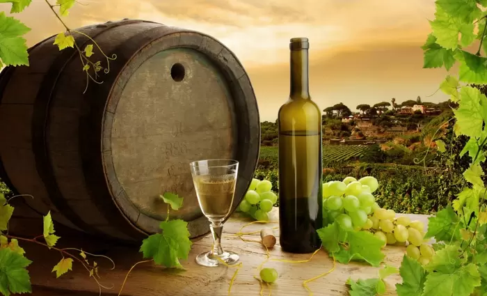 Υπ. Γεωργίας: Κάλεσε τον κόσμο να καταναλώνει κυπριακά αμπελοοινικά προϊόντα