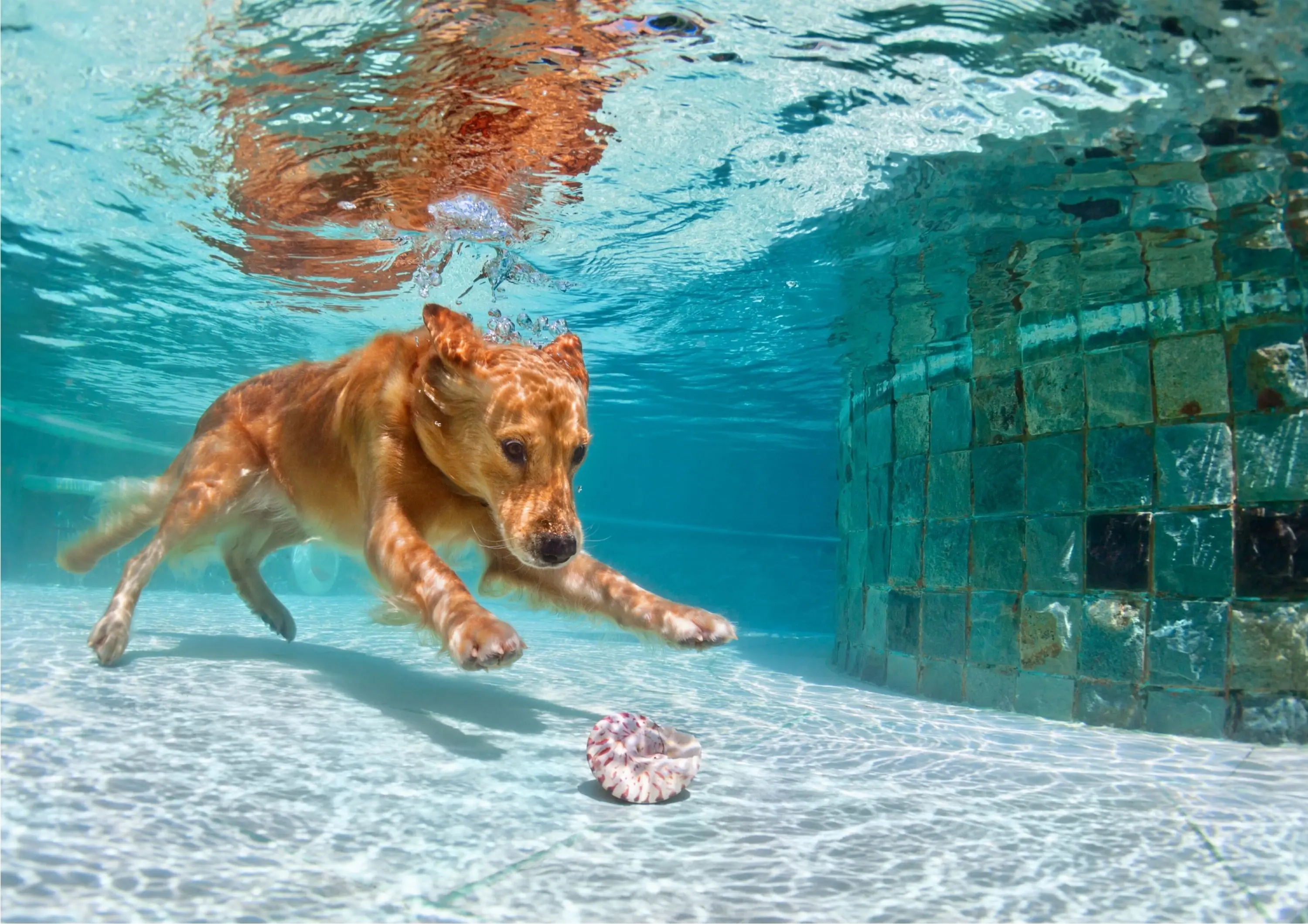 Ξεκινά η 3η φάση χαλάρωσης των μέτρων