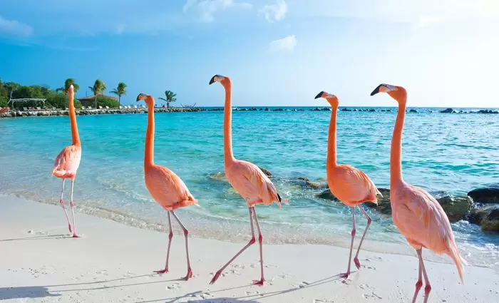 ΕΕ: Εκτός μαύρης λίστας φορολογικών παραδείσων Αρούμπα, Μπαρμπάντος και Βερμούδες