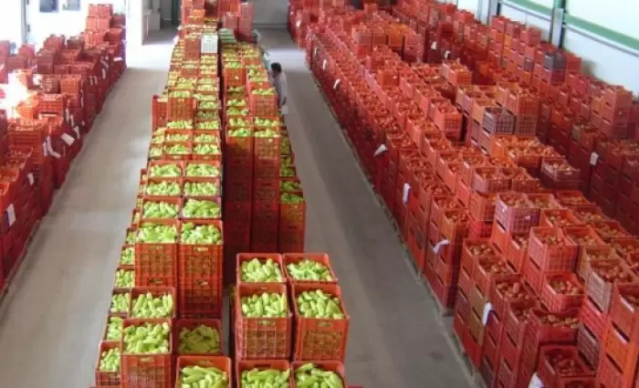 Ζητούν δημοπρατήριο μετά το κλείσιμο της χονδρικής αγοράς Λευκωσίας