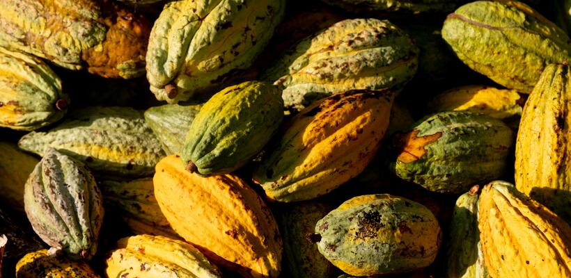 Μια εξαιρετικής απόδοσης μετοχή που είναι γλυκιά όσο ένα φλιτζάνι κακάο